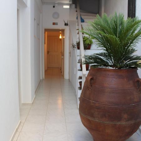 Carolina Apartments Crete Agia Pelagia Eksteriør billede