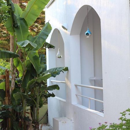 Carolina Apartments Crete Agia Pelagia Eksteriør billede
