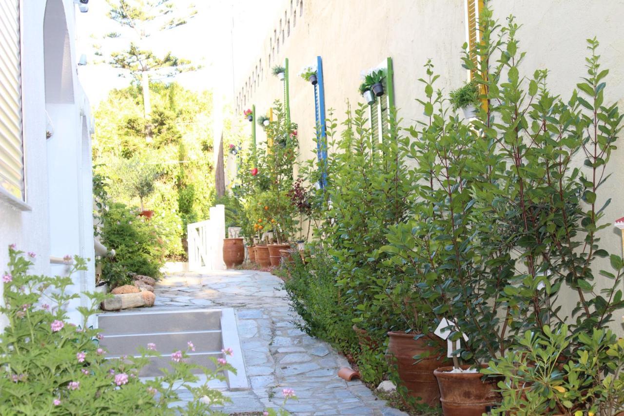 Carolina Apartments Crete Agia Pelagia Eksteriør billede