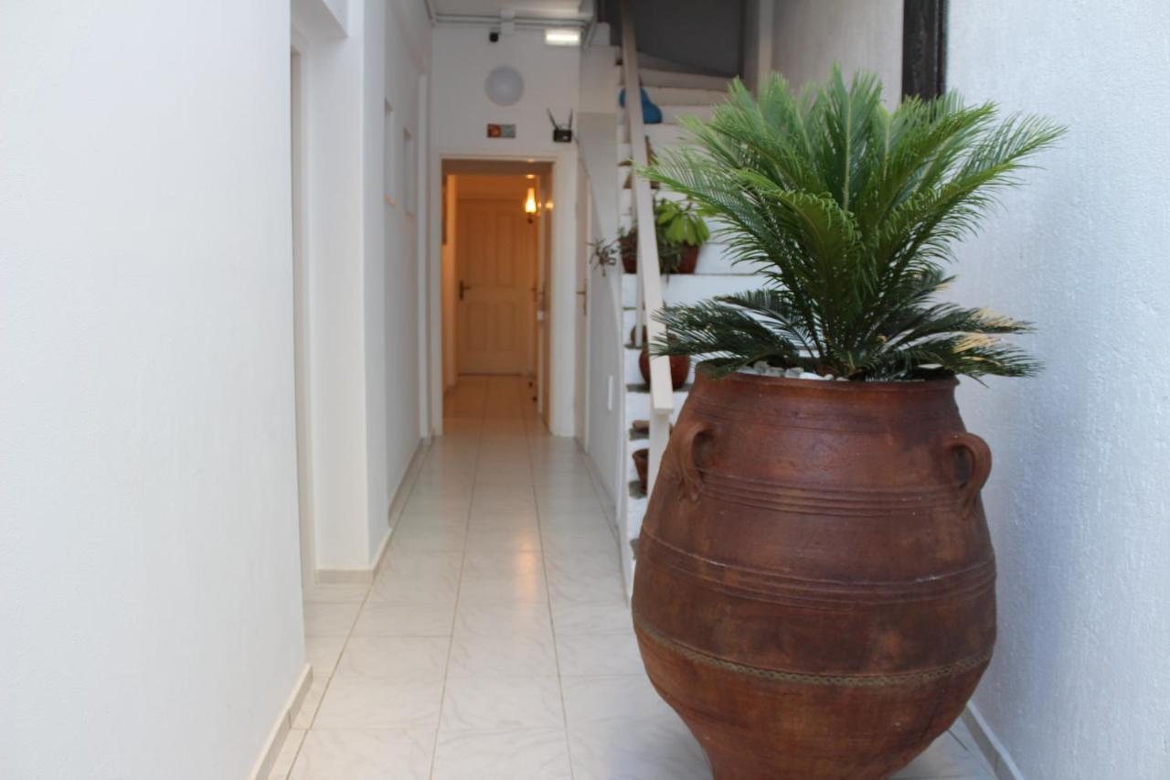 Carolina Apartments Crete Agia Pelagia Eksteriør billede