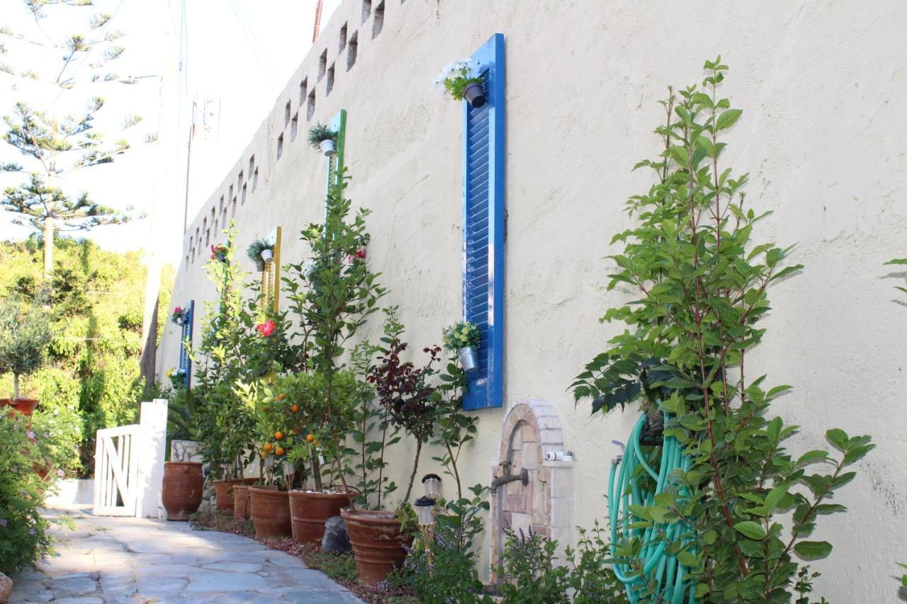 Carolina Apartments Crete Agia Pelagia Eksteriør billede