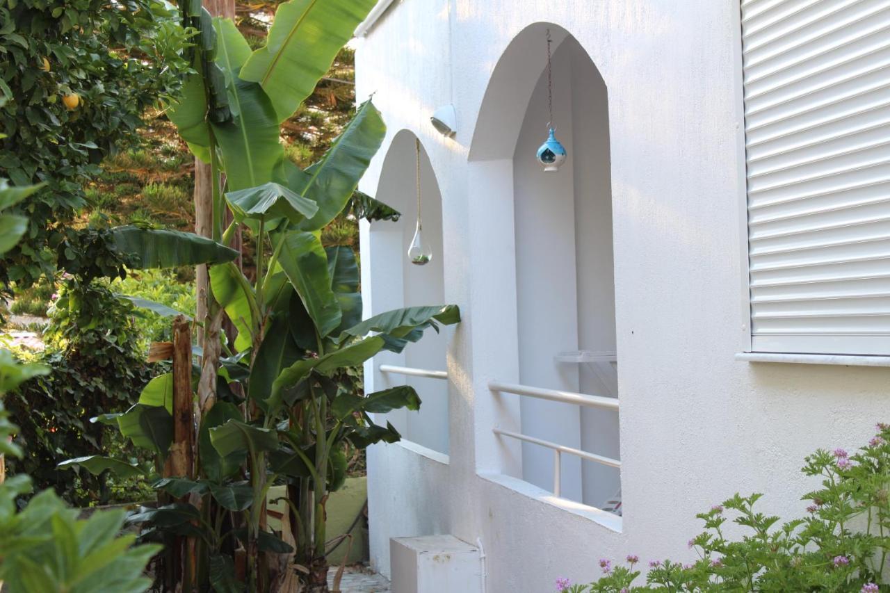 Carolina Apartments Crete Agia Pelagia Eksteriør billede